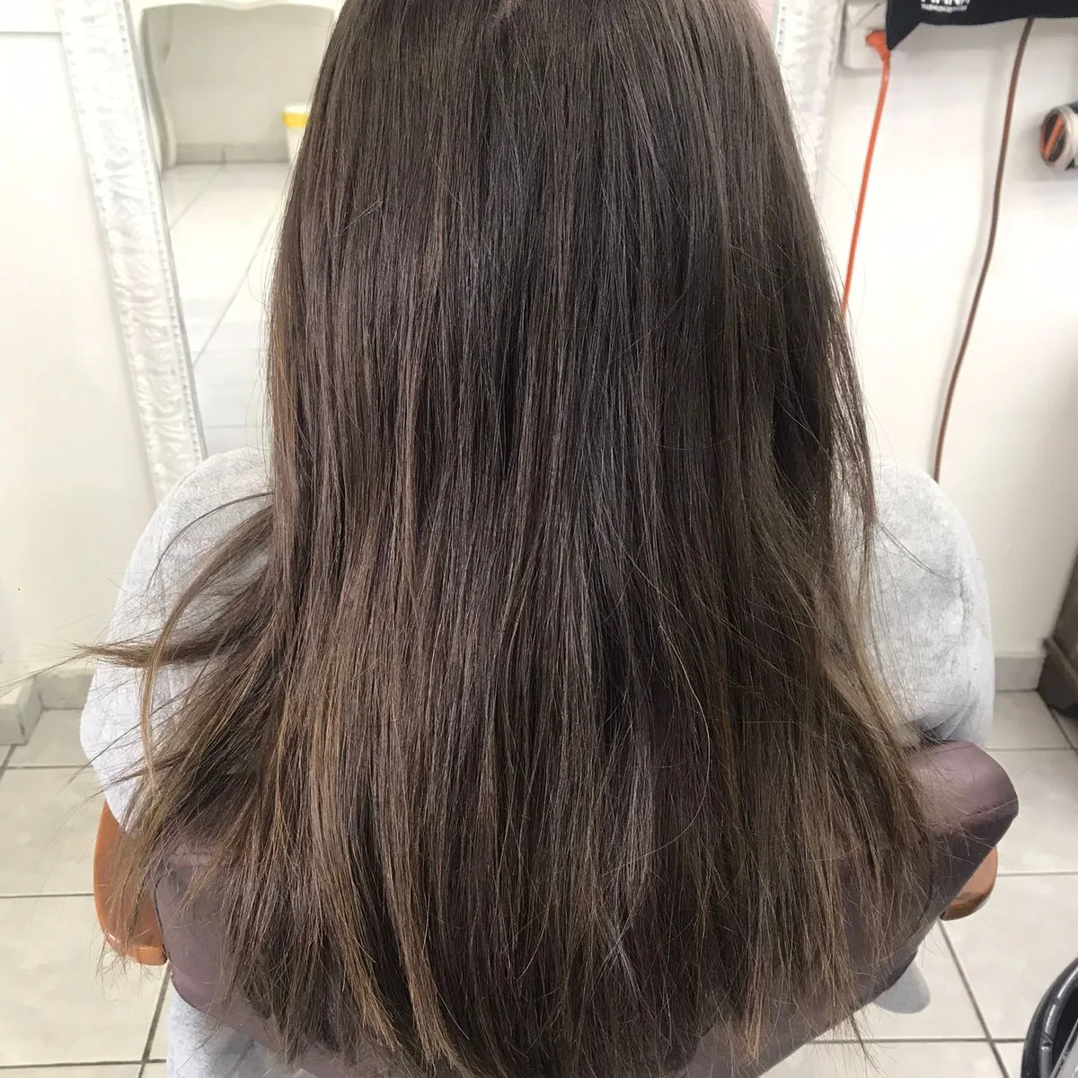 Castanho liso de costas, com brilho no comprimento